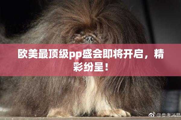 欧美最顶级pp盛会即将开启，精彩纷呈！