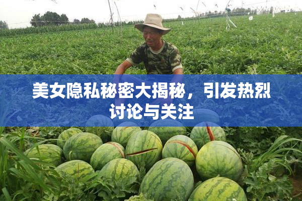 美女隐私秘密大揭秘，引发热烈讨论与关注