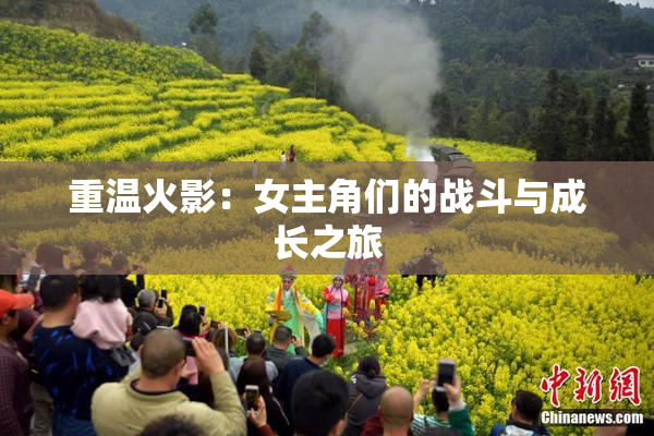 重温火影：女主角们的战斗与成长之旅