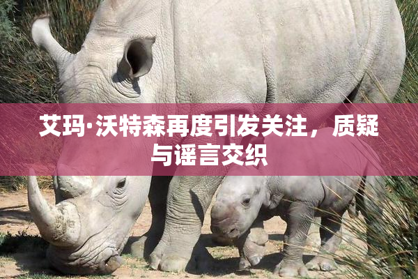 艾玛·沃特森再度引发关注，质疑与谣言交织
