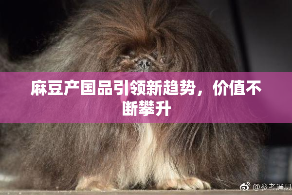 麻豆产国品引领新趋势，价值不断攀升