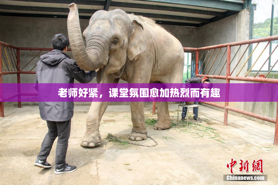 老师好紧，课堂氛围愈加热烈而有趣