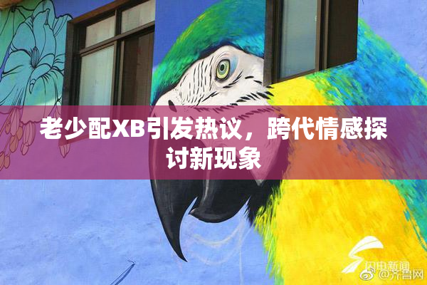 老少配XB引发热议，跨代情感探讨新现象