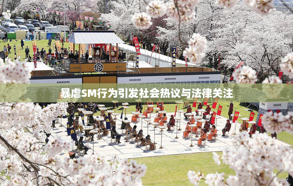 暴虐SM行为引发社会热议与法律关注