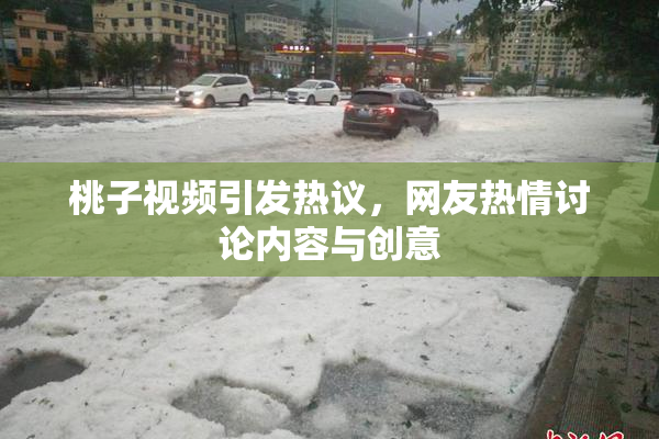 桃子视频引发热议，网友热情讨论内容与创意