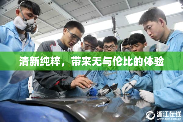 清新纯粹，带来无与伦比的体验