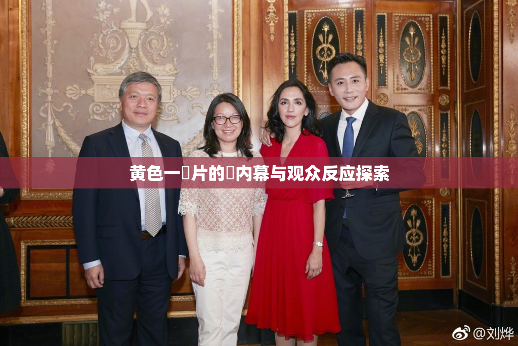 黄色一級片的黃内幕与观众反应探索
