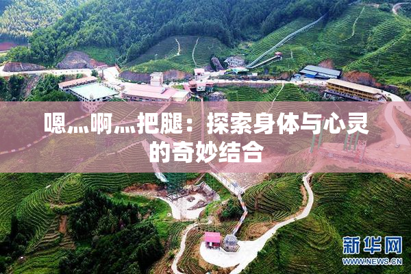 嗯灬啊灬把腿：探索身体与心灵的奇妙结合