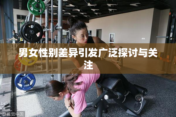 男女性别差异引发广泛探讨与关注