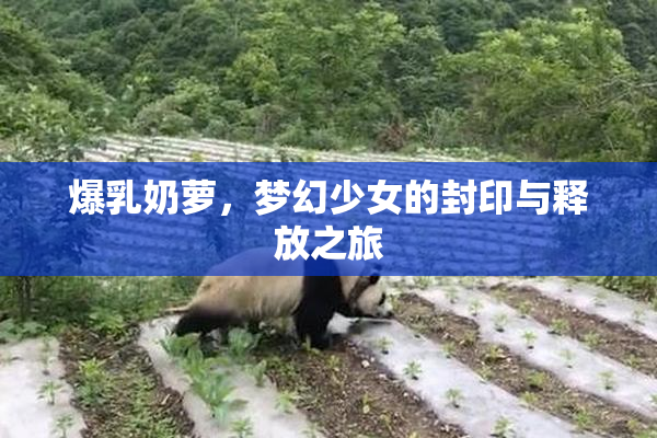 爆乳奶萝，梦幻少女的封印与释放之旅