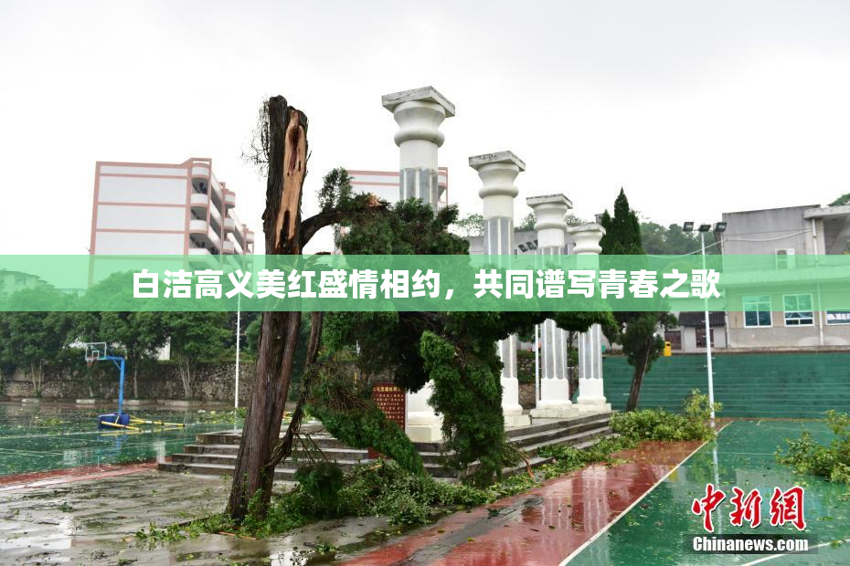 白洁高义美红盛情相约，共同谱写青春之歌