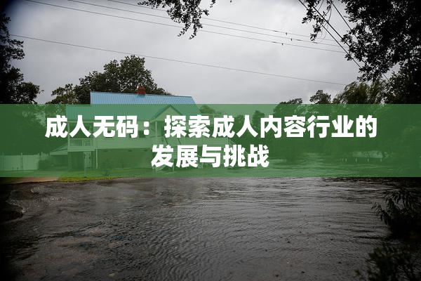 成人无码：探索成人内容行业的发展与挑战