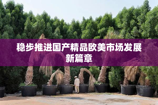 稳步推进国产精品欧美市场发展新篇章