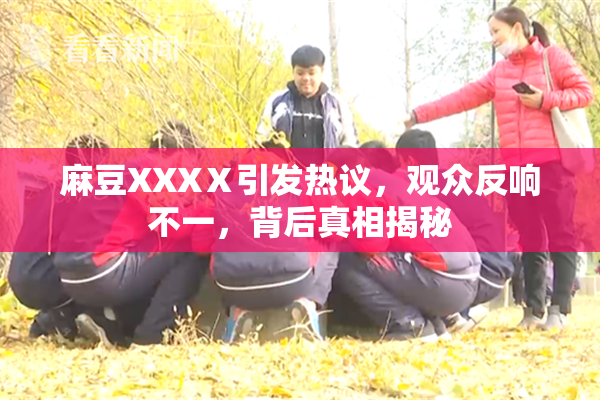 麻豆XXXⅩ引发热议，观众反响不一，背后真相揭秘