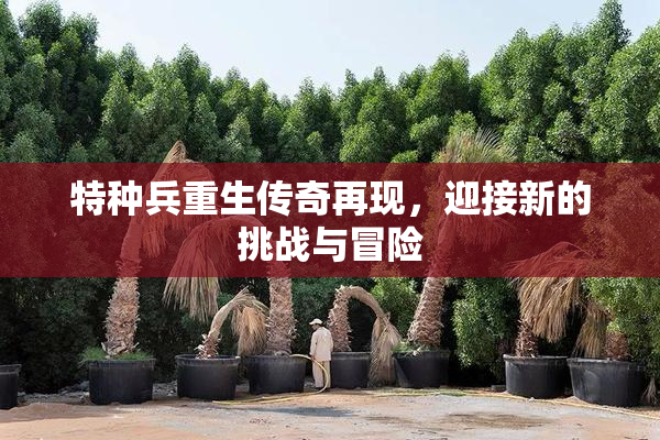 特种兵重生传奇再现，迎接新的挑战与冒险