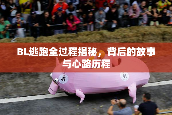 BL逃跑全过程揭秘，背后的故事与心路历程