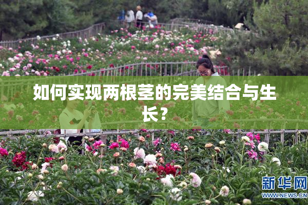 如何实现两根茎的完美结合与生长？