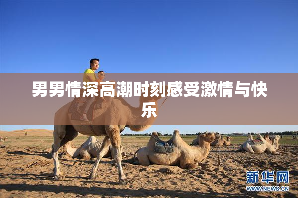 男男情深高潮时刻感受激情与快乐
