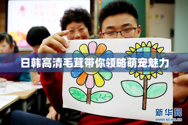 日韩高清毛茸带你领略萌宠魅力