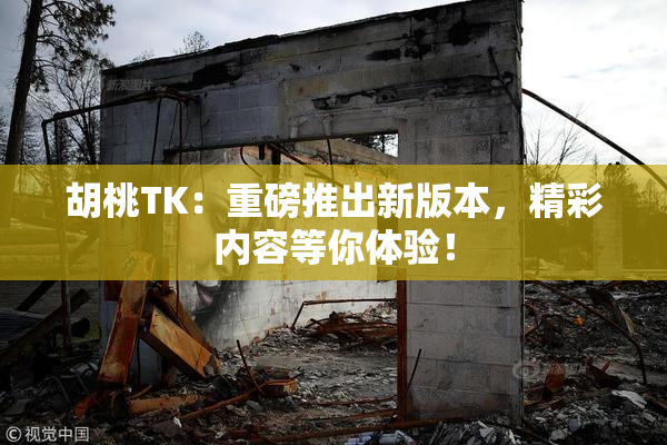 胡桃TK：重磅推出新版本，精彩内容等你体验！