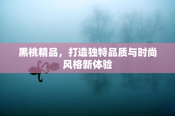 黑桃精品，打造独特品质与时尚风格新体验