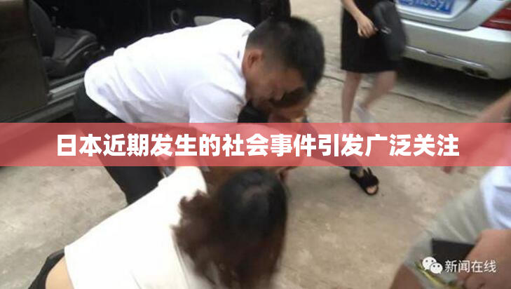 日本近期发生的社会事件引发广泛关注
