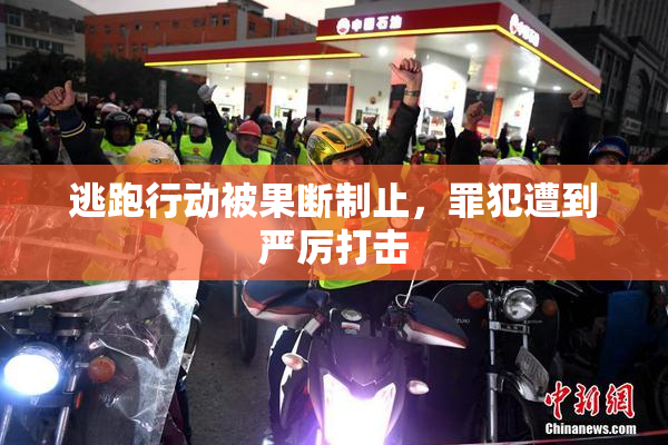 逃跑行动被果断制止，罪犯遭到严厉打击