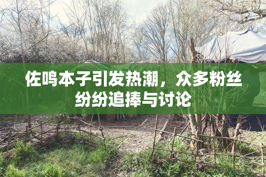 佐鸣本子引发热潮，众多粉丝纷纷追捧与讨论