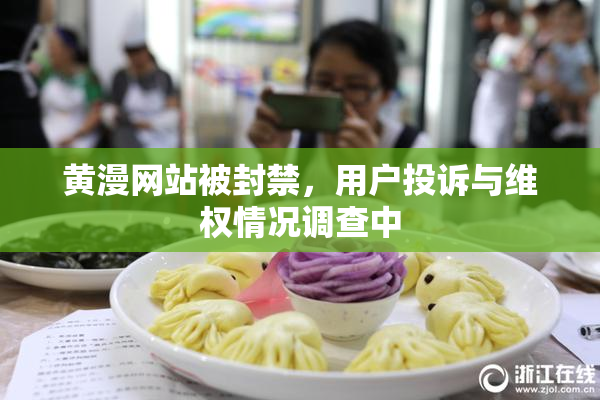 黄漫网站被封禁，用户投诉与维权情况调查中