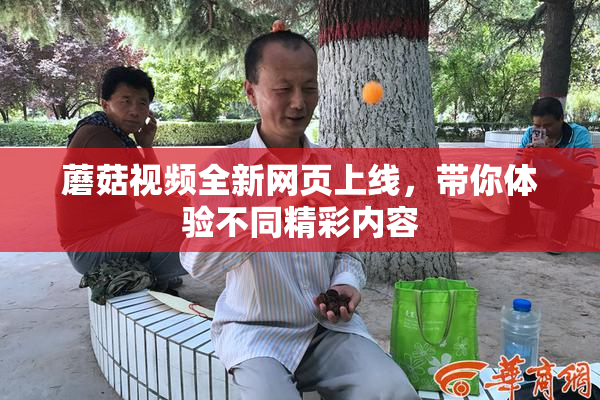 蘑菇视频全新网页上线，带你体验不同精彩内容