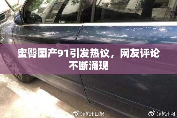 蜜臀国产91引发热议，网友评论不断涌现