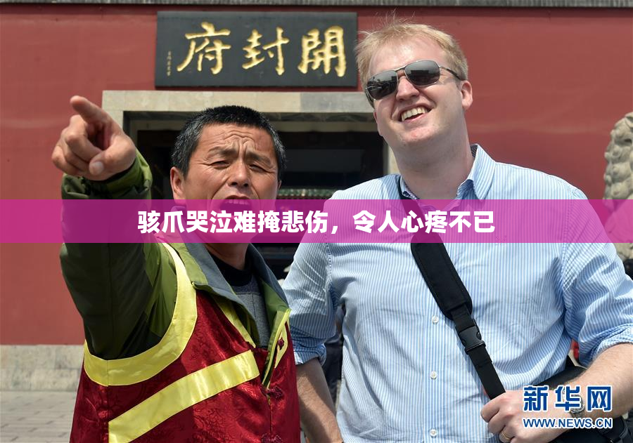 骇爪哭泣难掩悲伤，令人心疼不已