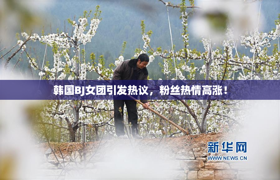 韩国BJ女团引发热议，粉丝热情高涨！