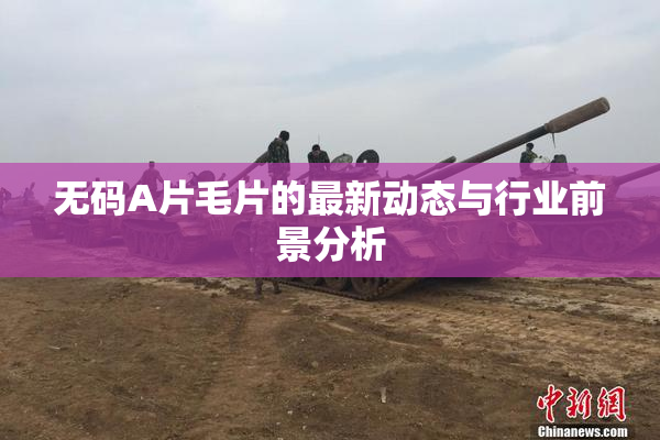 无码A片毛片的最新动态与行业前景分析
