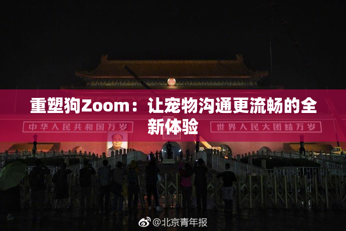 重塑狗Zoom：让宠物沟通更流畅的全新体验