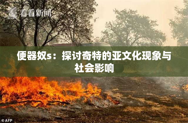 便器奴s：探讨奇特的亚文化现象与社会影响