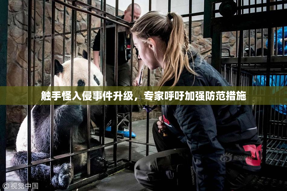 触手怪入侵事件升级，专家呼吁加强防范措施