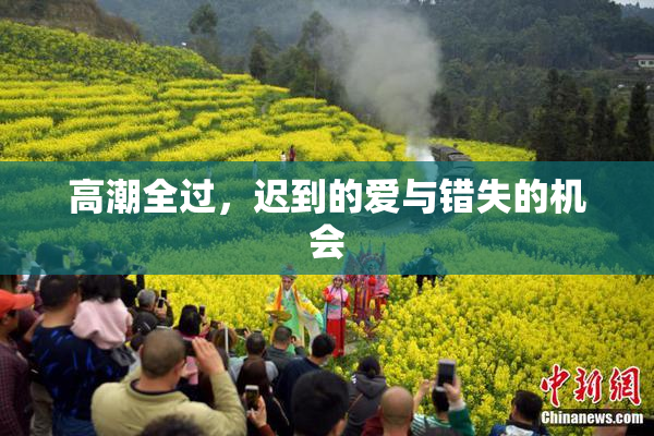 高潮全过，迟到的爱与错失的机会