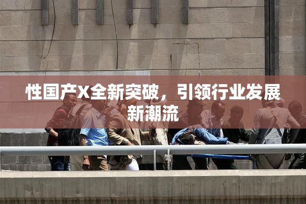 性国产X全新突破，引领行业发展新潮流