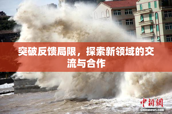 突破反馈局限，探索新领域的交流与合作
