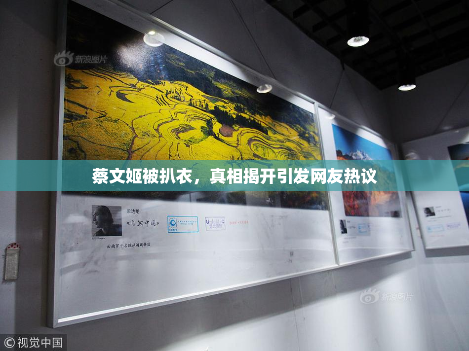 蔡文姬被扒衣，真相揭开引发网友热议