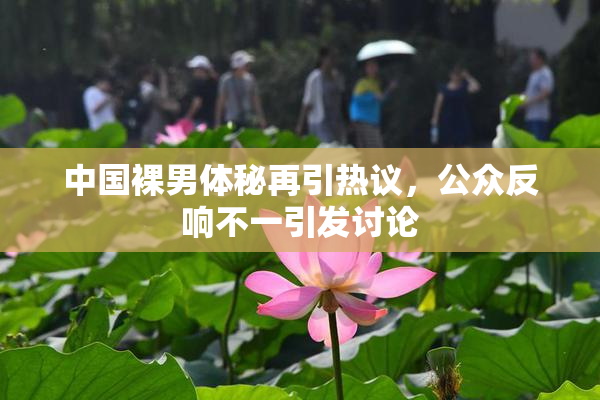 中国裸男体秘再引热议，公众反响不一引发讨论