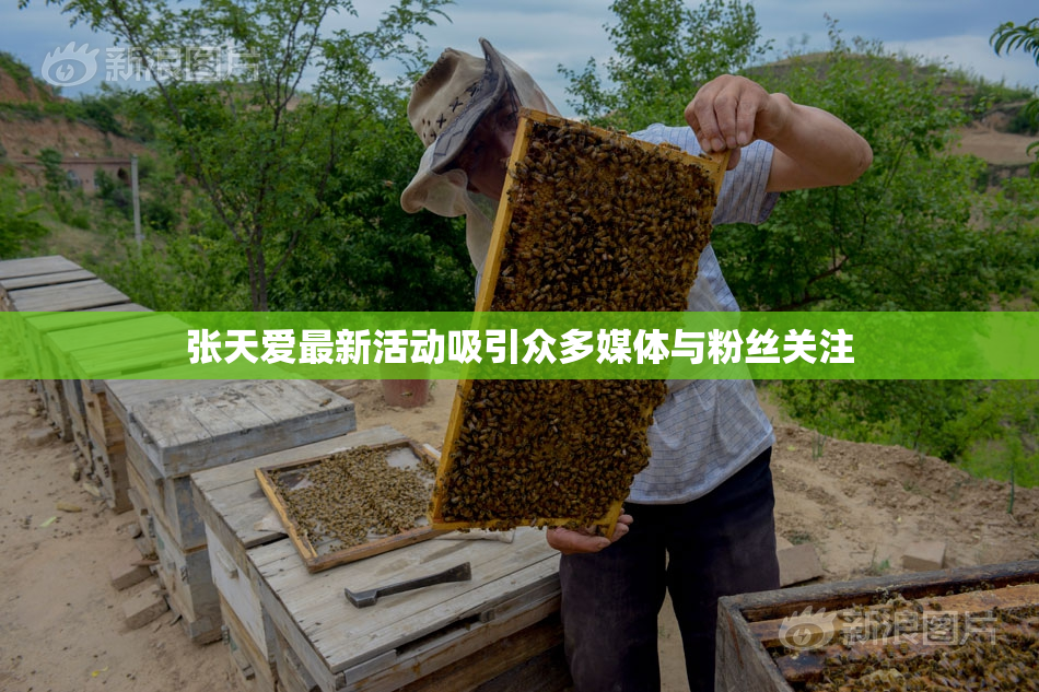 张天爱最新活动吸引众多媒体与粉丝关注