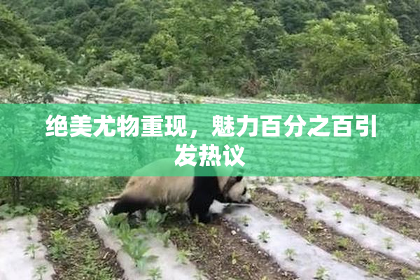 绝美尤物重现，魅力百分之百引发热议