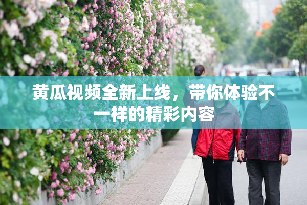 黄瓜视频全新上线，带你体验不一样的精彩内容