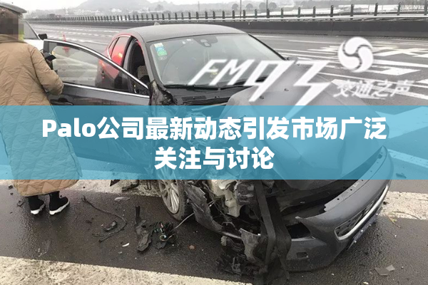 Palo公司最新动态引发市场广泛关注与讨论