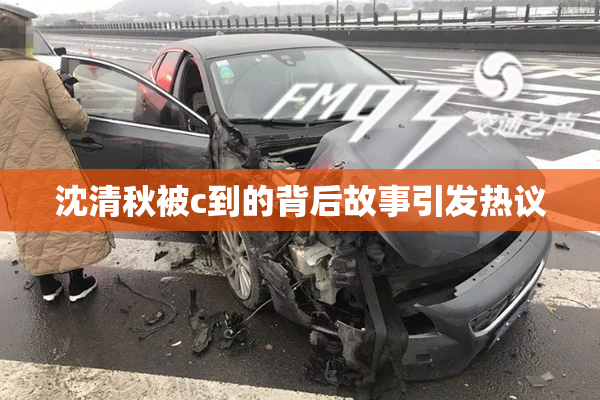 沈清秋被c到的背后故事引发热议