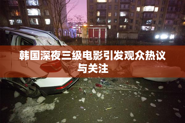 韩国深夜三级电影引发观众热议与关注