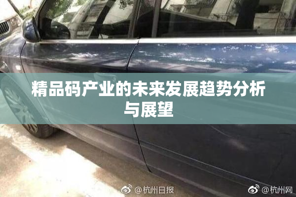 精品码产业的未来发展趋势分析与展望