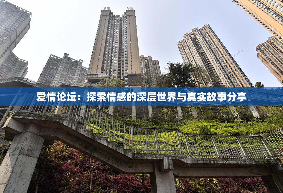 爱情论坛：探索情感的深层世界与真实故事分享